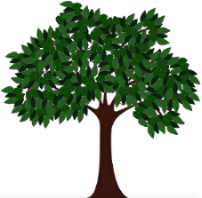 Environmental Monitoring